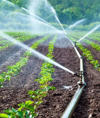 irrigation