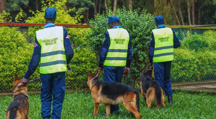 security-team